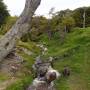 Argentine - Parc national "Tierra del Fuego" 3