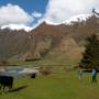 Nouvelle-Zélande - Rob Roy Glacier