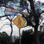 Australie - 