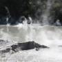 Nouvelle-Zélande - Wai O Tapu - le Geyser Lady Knox