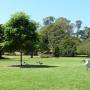 Australie - Botanic gardens