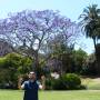 Australie - Botanic gardens