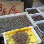 Chine - Crevettes et coquillages